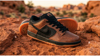 Dashawn Jordan x Nike SB Dunk Low Copperhead: мифология пустыни в деталях IB6208-200