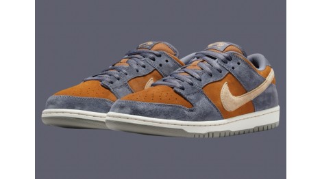 NIKE SB DUNK LOW “LIGHT CARBON/MONARCH” идеальная осенняя новинка!