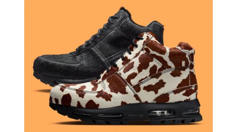 Nike Air Max Goadome 