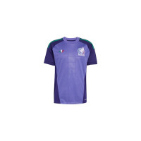 adidas Mexico 26 Away Goalkeeper Jersey Purple