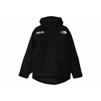 The North Face GTX Mountain Guide Insulated Parka Black