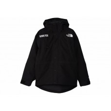 The North Face GTX Mountain Guide Insulated Parka Black