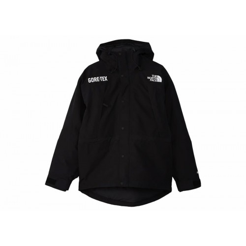 The North Face GTX Mountain Guide Insulated Parka Black