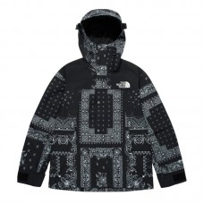 The North Face Novelty GTX Paisley Mountain Jacket Black