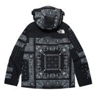 The North Face Novelty GTX Paisley Mountain Jacket Black