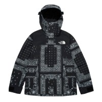 The North Face Novelty GTX Paisley Mountain Jacket Black