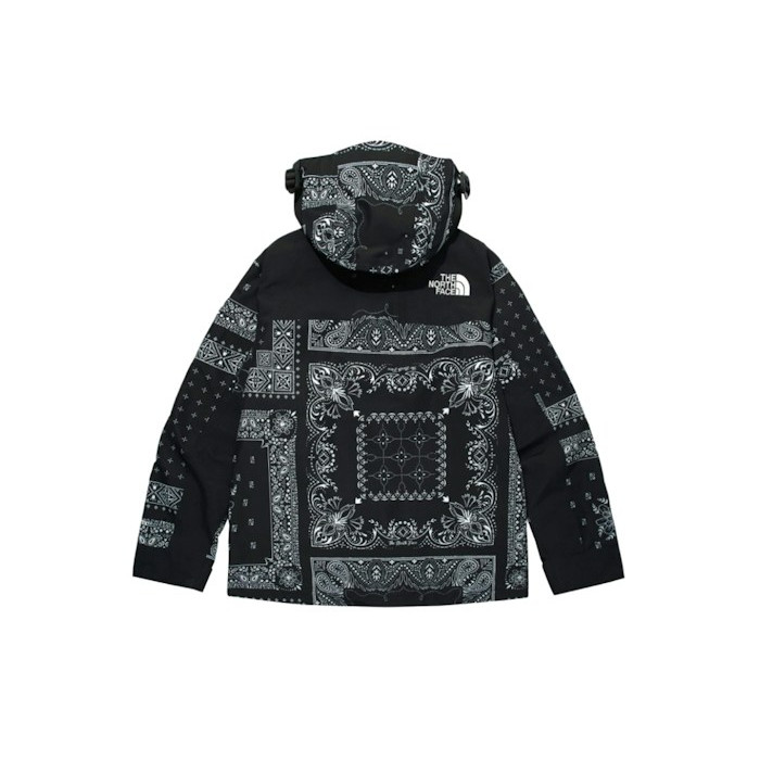 Куртка The North Face Novelty GTX Paisley Mountain Jacket Black Куртка The North Face Novelty GTX Paisley Mountain Jacket Black