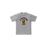 BAPE College Tee (FW25) Gray