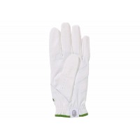BAPE x adidas Golf Glove White