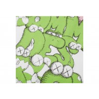 CDG Shirt x KAWS Print T-shirt White/Green/Pink