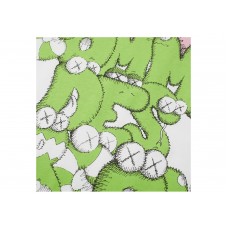 CDG Shirt x KAWS Print T-shirt White/Green/Pink