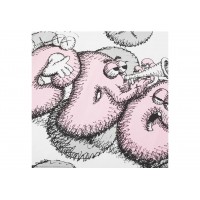 CDG Shirt x KAWS T-shirt White/Pink/Grey