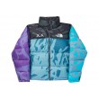 KAWS x The North Face