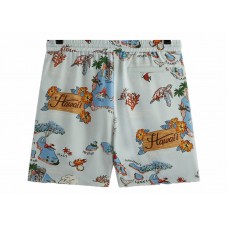 Kith Hawaii Active Short Oyster