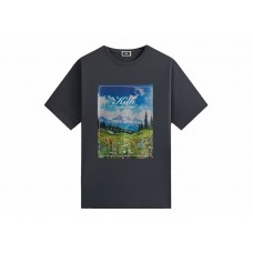 Kith Landscape Vintage Tee Torpedo