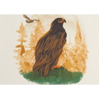 Kith x Columbia Eagle Illustration Vintage Tee History