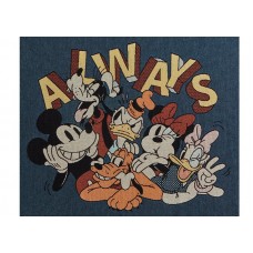 Kith x Disney Mickey & Friends Tapestry Blanket Vista