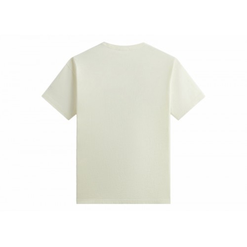 Оригинальный шмот Kith x New York Botanical Garden Gayac Vintage Tee Silk