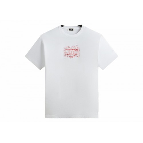 Оригинальный шмот Kith x New York Botanical Garden Title Page Vintage Tee White
