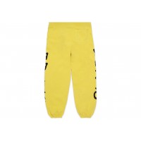 Sp5der Beluga Sweatpants Gold