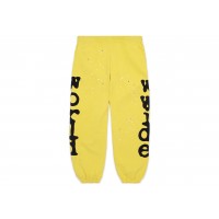 Sp5der Beluga Sweatpants Gold