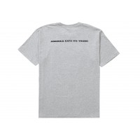 Supreme America Eats Its Young Tee Heather Grey