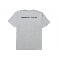 Supreme America Eats Its Young Tee Heather Grey