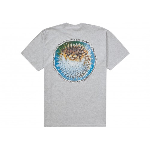 Оригинальный шмот Supreme Blowfish Tee Ash Grey