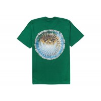 Supreme Blowfish Tee Light Pine