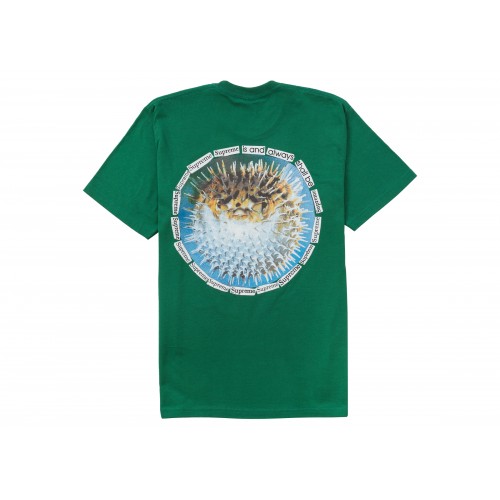 Оригинальный шмот Supreme Blowfish Tee Light Pine - 70см