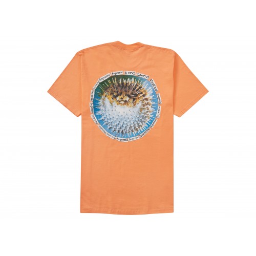 Оригинальный шмот Supreme Blowfish Tee Peach - 70см