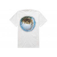 Supreme Blowfish Tee White