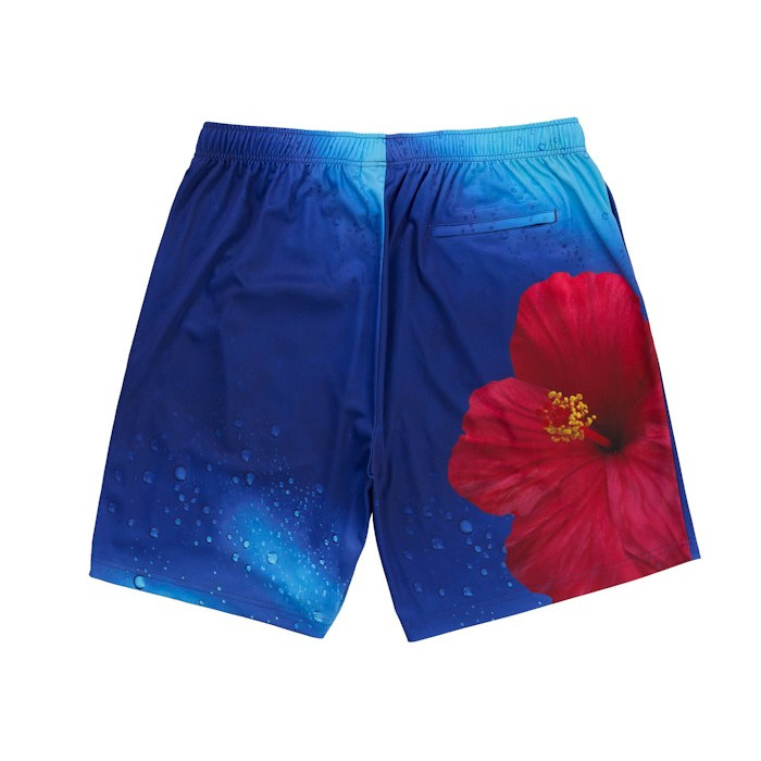 Шорты Supreme Fiji Soccer Short Multicolor Шорты Supreme Fiji Soccer Short Multicolor