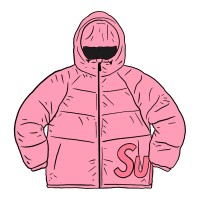 Supreme Hooded Down Down Jacket Pink