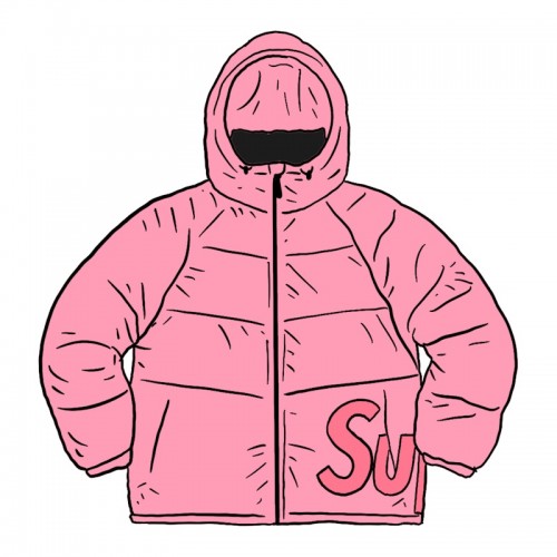 Supreme Hooded Down Down Jacket Pink