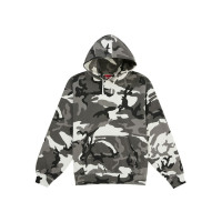 Supreme Satin Applique Hooded Sweatshirt (SS26) Snow Camo