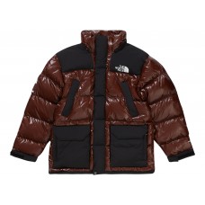 Supreme The North Face 700-Fill Down Parka Brown
