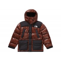 Supreme The North Face 700-Fill Down Parka Brown