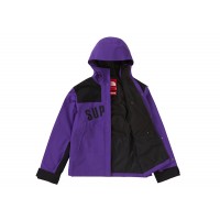 Supreme The North Face Arc Logo Mountain Parka Purple