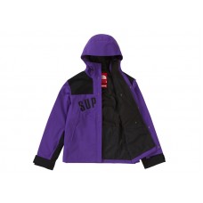 Supreme The North Face Arc Logo Mountain Parka Purple