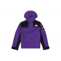 Supreme The North Face Arc Logo Mountain Parka Purple