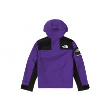 Supreme The North Face Arc Logo Mountain Parka Purple