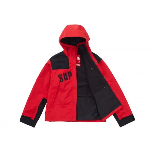 Supreme The North Face Arc Logo Mountain Parka Red