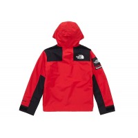 Supreme The North Face Arc Logo Mountain Parka Red