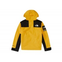 Supreme The North Face Arc Logo Mountain Parka Yellow