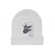 Supreme The North Face Beanie (FW24) White