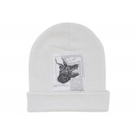 Supreme The North Face Beanie (FW24) White