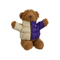 Supreme The North Face Bear Multicolor