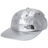Supreme The North Face Metallic 6-Panel Silver
