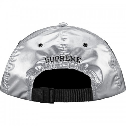 Supreme The North Face Metallic 6-Panel Silver